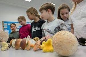 Pilze hautnah: Martin Maschka zu Besuch am THG