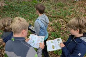 Die Jahrgangsstufe 8 erkundet das Ökosystem Wald